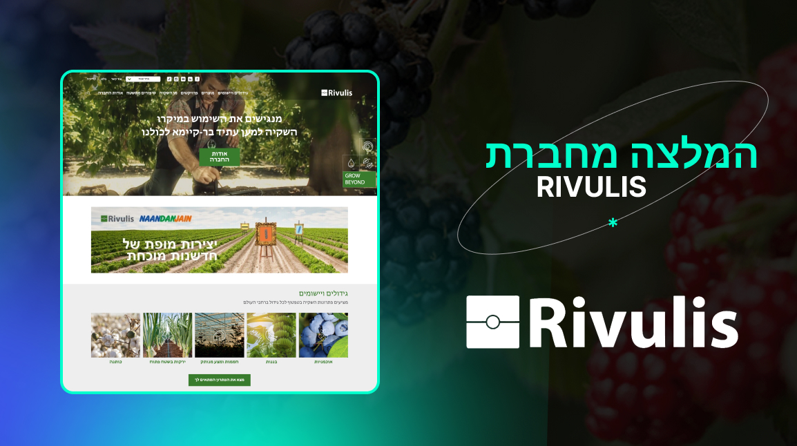 LM Web Solutions - המלצה מחברת Rivulis