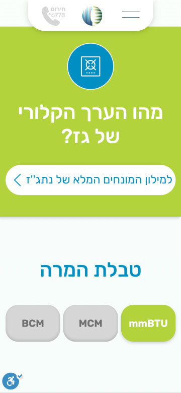 LM Web Solutions - נתג