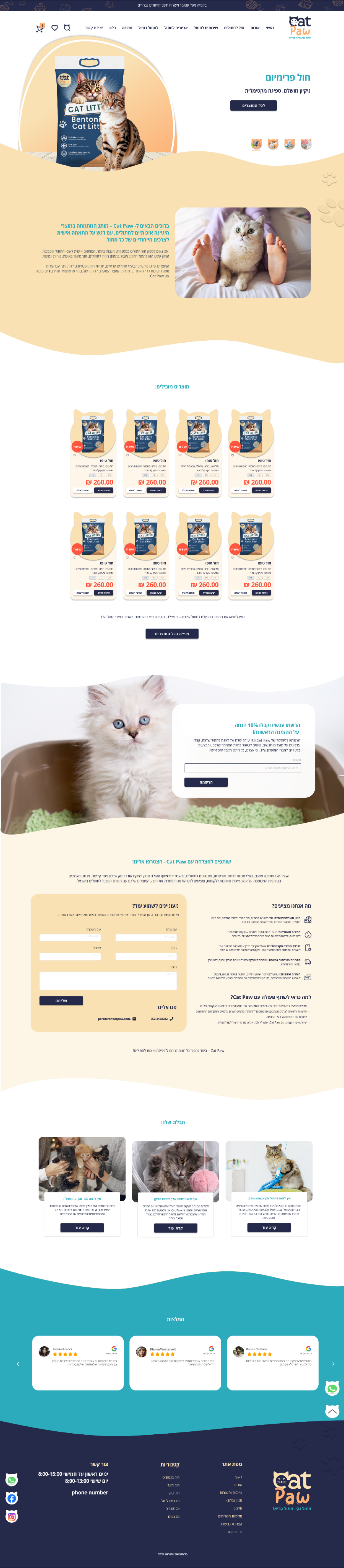 LM Web Solutions - אתר 