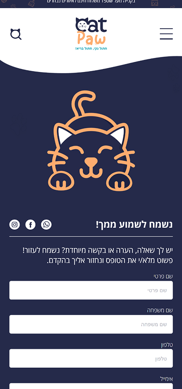 LM Web Solutions - אתר 