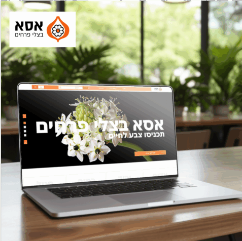 LM Web Solutions - Asa