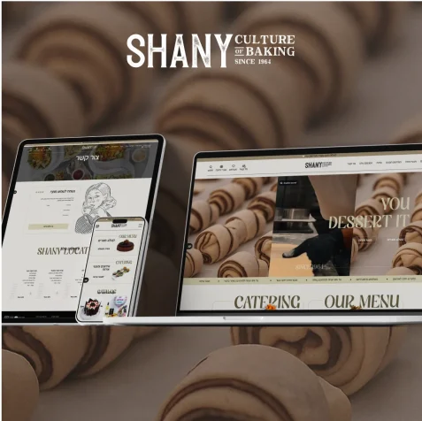 LM Web Solutions - Shany