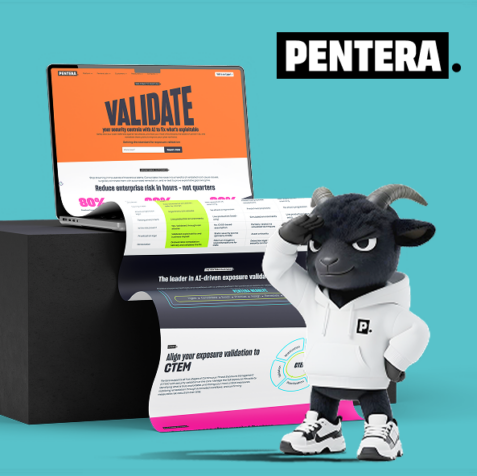 LM Web Solutions - Pentera
