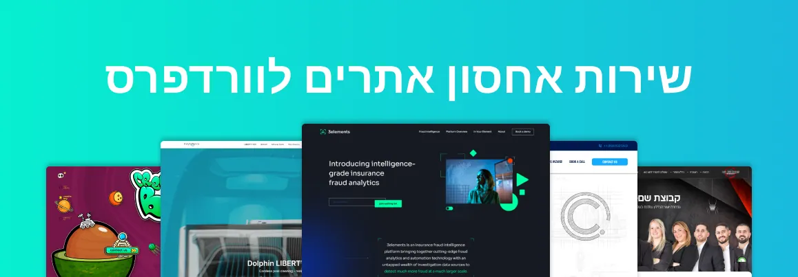 איור למאמר: שירות אחסון אתרים לוורדפרס
