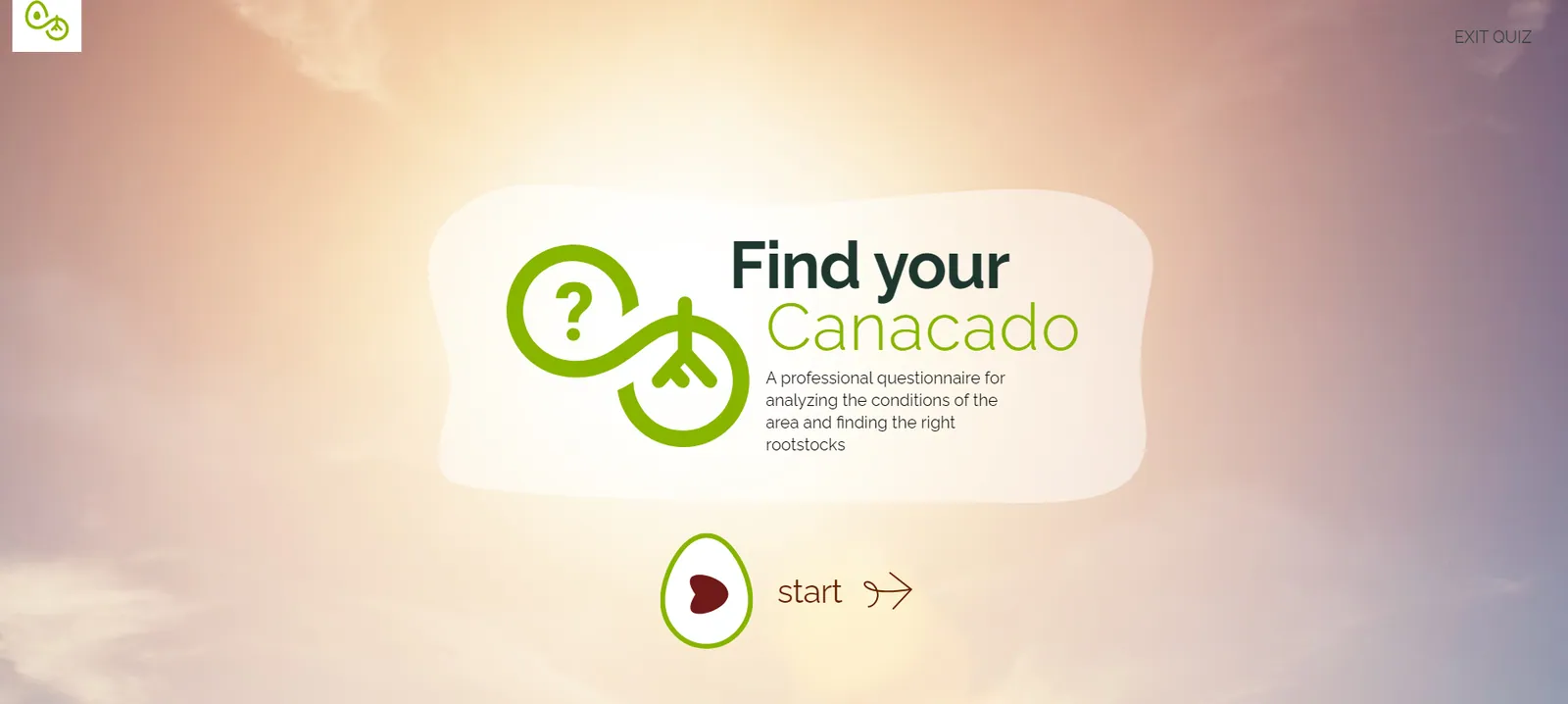 Developing interactive quizzes: tips, key points and maintenance