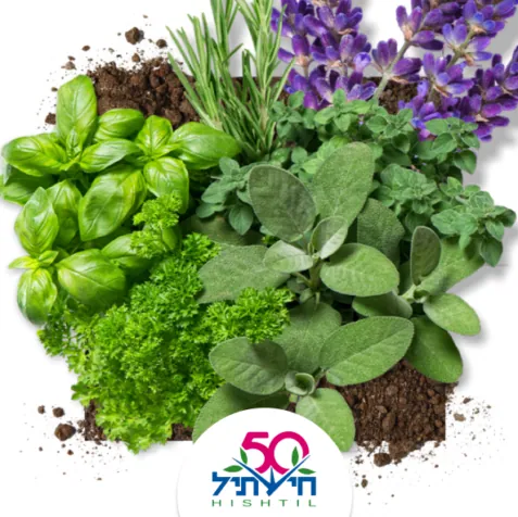 אתר חישתיל