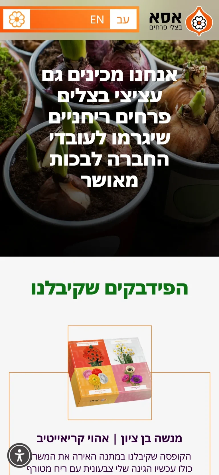האתר של אסא בצלי פרחים בטלפון, מסך 2