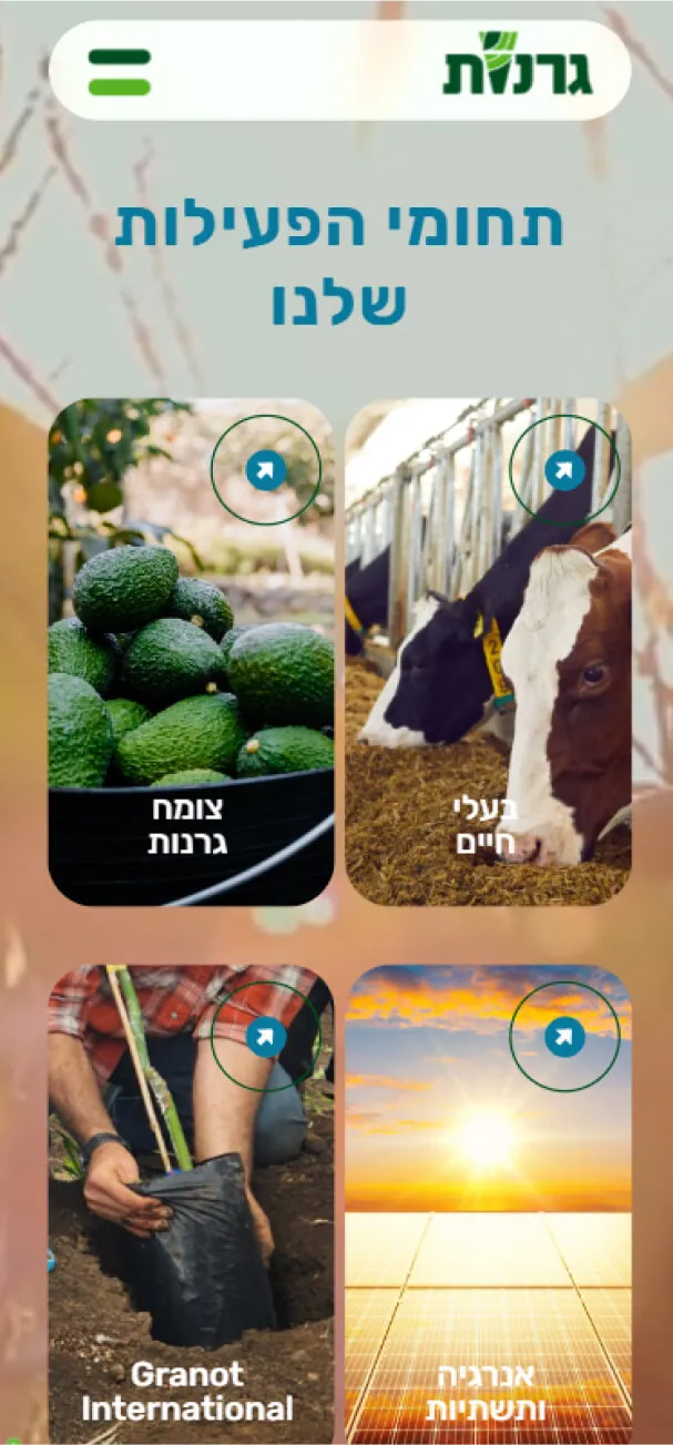 האתר של גרנות בטלפון, מסך 2