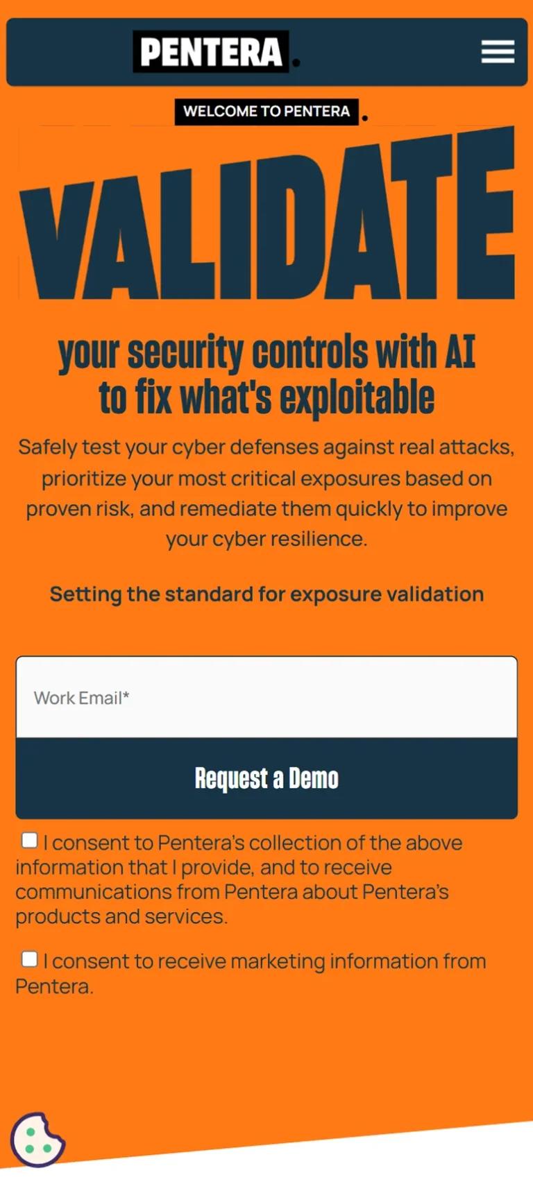 Pentera website on mobile, screen 1