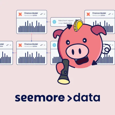 Seemore Data website