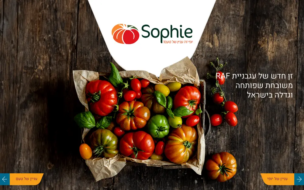צילום מסך של האתר Sophie